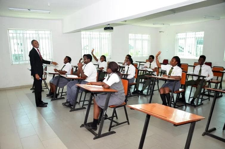 Professional qualifying examination preparation